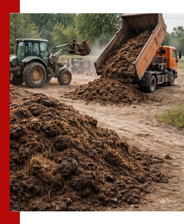 Доставка навоза самосвалами в Челябинске для сельхозпотребностей